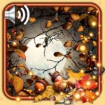 autumn moon live wallpaper android application logo